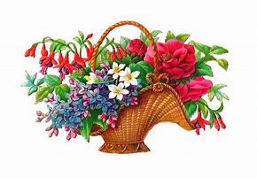 Image result for Flower Basket Clip Art