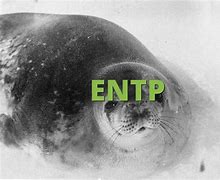 Image result for Entp Meaning