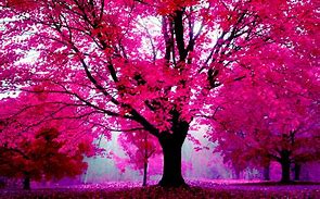 Image result for Girly Wallpapers for Desktop