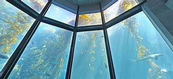 Image result for Morro Bay Aquarium