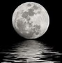 Image result for White Moon Logo