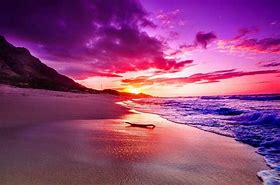 Image result for Bahamas Beaches Sunset