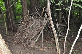 Image result for Survival Shelter Building