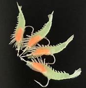 Image result for Artificial Shrimp Lures