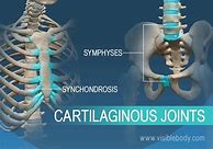 Image result for Human Body Joints