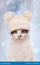 Image result for Cat Winter Hat