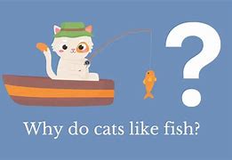 Image result for Cats Like Fish