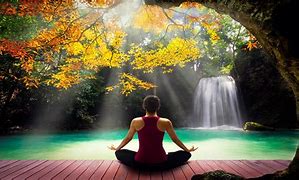 Image result for Peaceful Life Wall Art