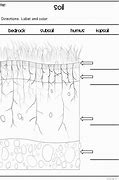 Image result for Soil Layers Drawing