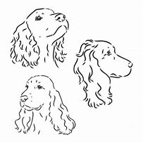 Image result for Cocker Spaniel Line Drawing