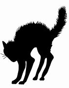 Image result for Scared Cat Clip Art