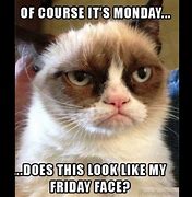 Image result for Monday Morning Minion Memes