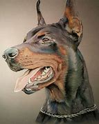 Image result for Doberman Line Drawing