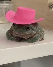 Image result for Matching Frog PFP