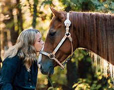 Image result for Western Horse Photography Riding