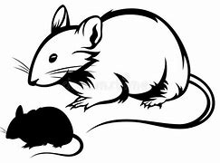 Image result for Outline Rat Trap