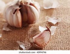 Image result for Garlic Gloves