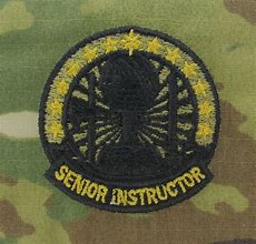 Image result for Army Rank OCP Badge