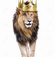 Image result for Lion Crown