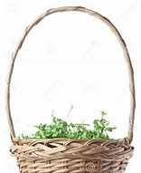 Image result for Green Easter Basket