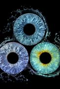 Image result for Eye Glimpse Photography