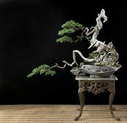 Image result for Bonsai Paradise Orlando