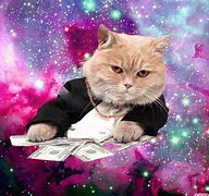 Image result for Rich Cat GIF Emoji