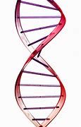 Image result for Double Helix Science