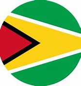 Image result for Guyana Flag Outline