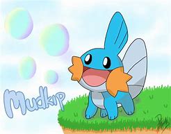 Image result for Mudkip Pokemon