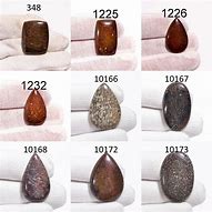 Image result for Dinosaur Bone Jasper