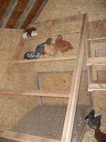 Image result for Building a Chicken Roost