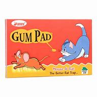 Image result for Glue Rat Trap Aus