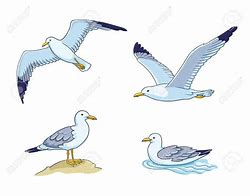 Image result for Flying Seagull Clip Art