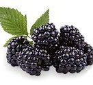 Image result for 100 Grams of Blackberries