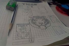 Image result for Tiger Box Design