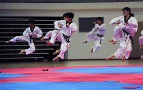 Image result for Korean Taekwondo