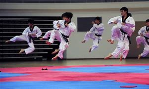 Image result for Taekwondo Korea