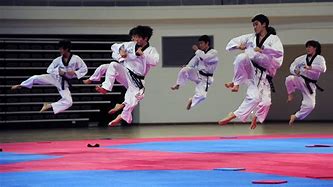 Image result for Korean Taekwondo