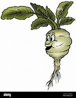 Image result for Kohlrabi Drawing