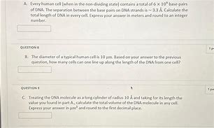 Image result for Dividing Cell and Non-Dividing Cells