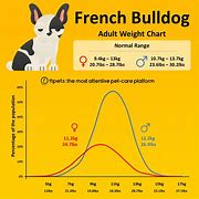 Image result for French Bulldog Feeding Chart