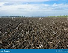 Image result for Arable Corps