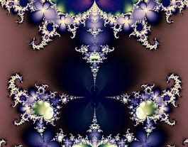 Image result for Butterfly Fractal