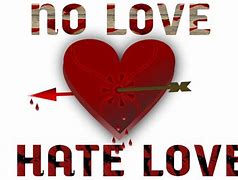 Image result for Songs of Love and Hate