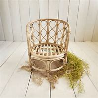 Image result for Wicker Pod Chair