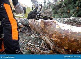 Image result for Logger Chainsaw