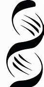 Image result for Double Helix Black and White