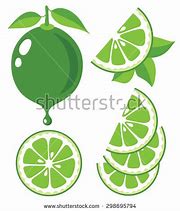 Image result for Lime Tree Clip Art