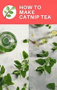 Image result for Cat On Catnip Tea